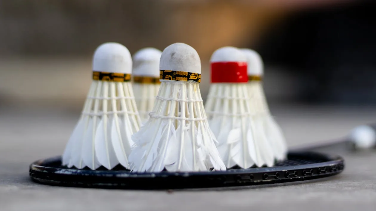 What Is a “Peak Performance Season” in Professional Badminton?